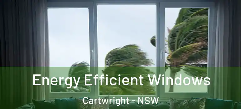 Energy Efficient Windows Cartwright - NSW
