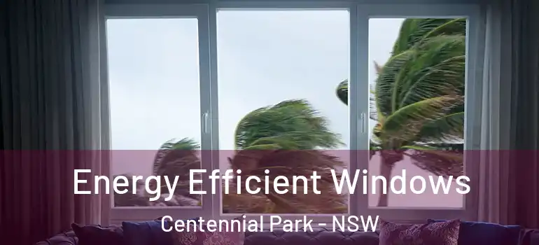 Energy Efficient Windows Centennial Park - NSW