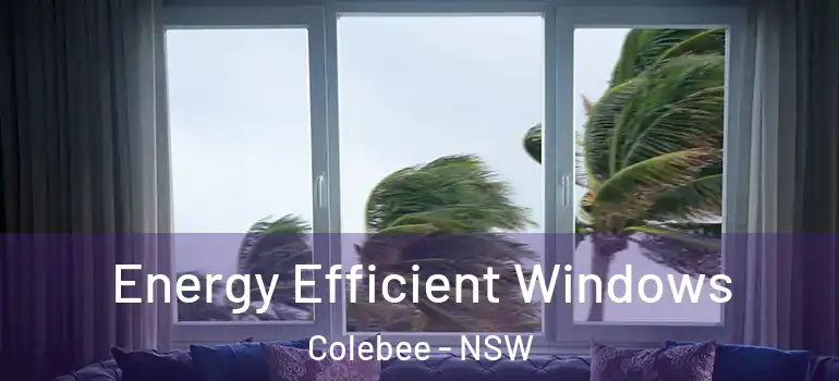 Energy Efficient Windows Colebee - NSW