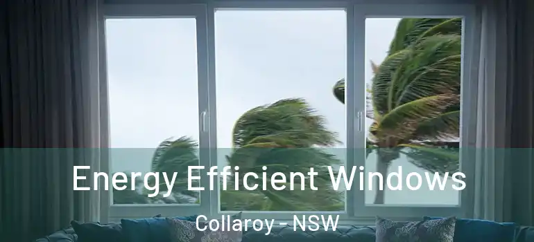 Energy Efficient Windows Collaroy - NSW