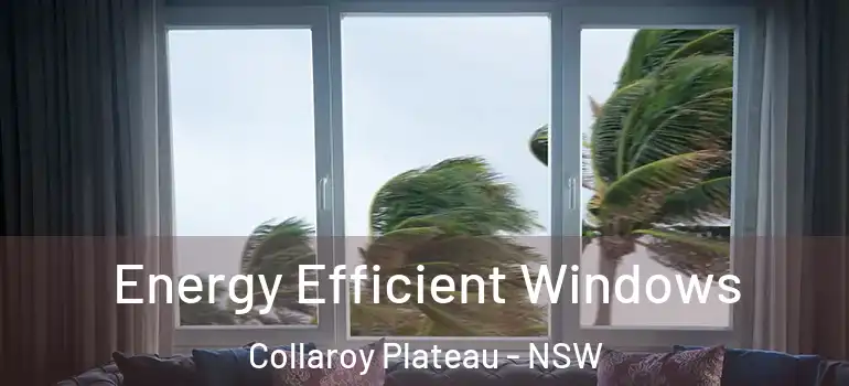 Energy Efficient Windows Collaroy Plateau - NSW