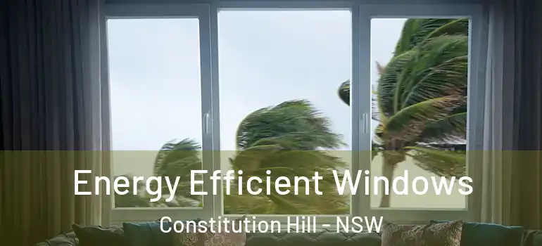 Energy Efficient Windows Constitution Hill - NSW
