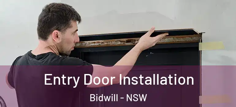 Entry Door Installation Bidwill - NSW