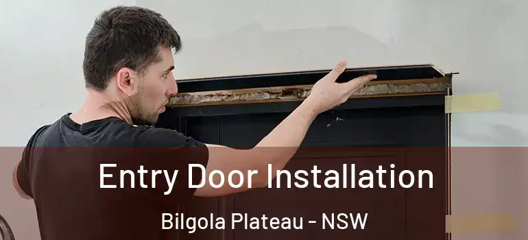 Entry Door Installation Bilgola Plateau - NSW
