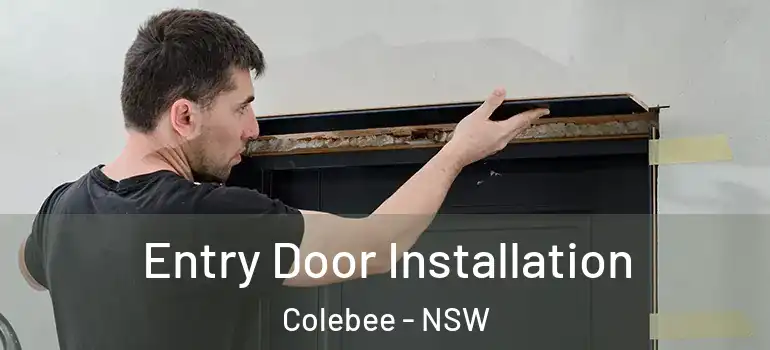 Entry Door Installation Colebee - NSW