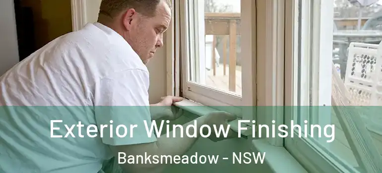 Exterior Window Finishing Banksmeadow - NSW