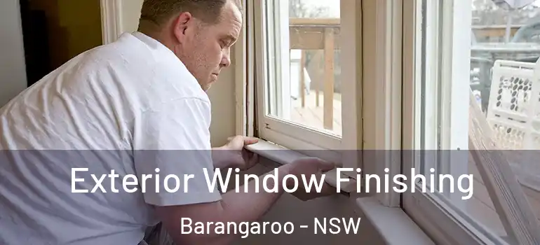  Exterior Window Finishing Barangaroo - NSW