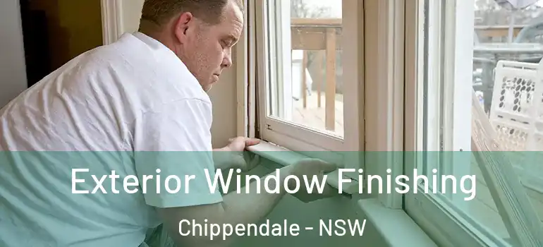  Exterior Window Finishing Chippendale - NSW