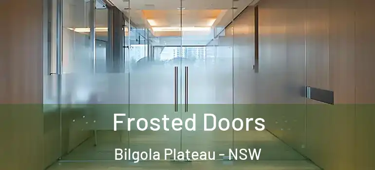 Frosted Doors Bilgola Plateau - NSW