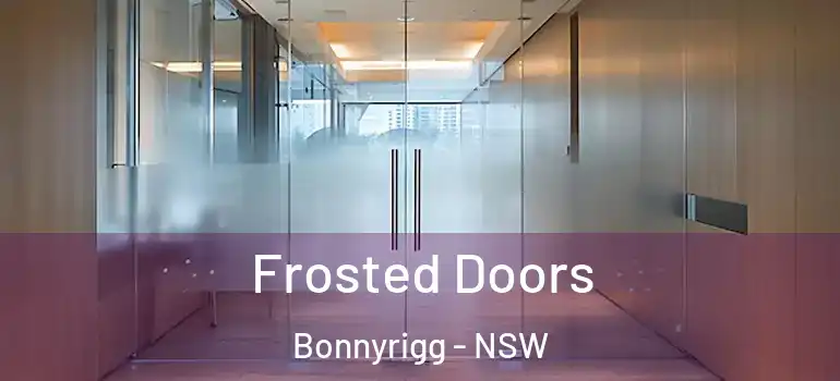 Frosted Doors Bonnyrigg - NSW