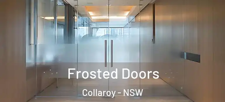  Frosted Doors Collaroy - NSW