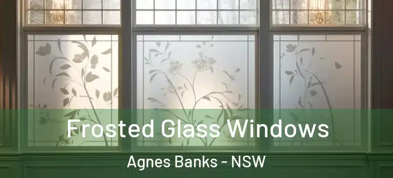 Frosted Glass Windows Agnes Banks - NSW