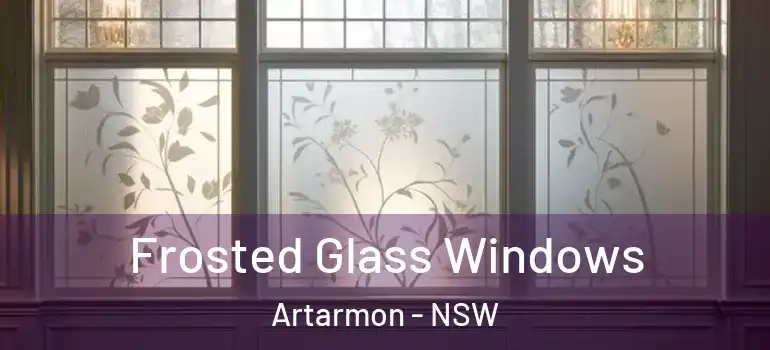  Frosted Glass Windows Artarmon - NSW