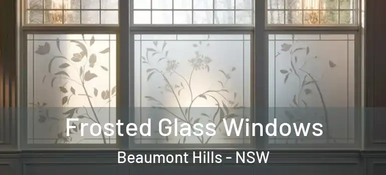  Frosted Glass Windows Beaumont Hills - NSW