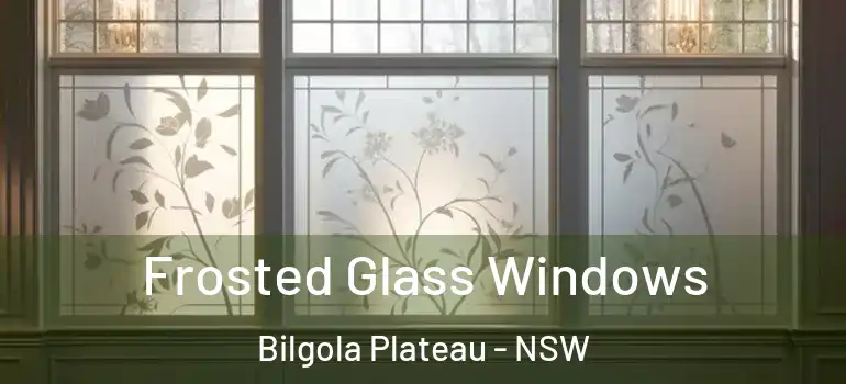 Frosted Glass Windows Bilgola Plateau - NSW