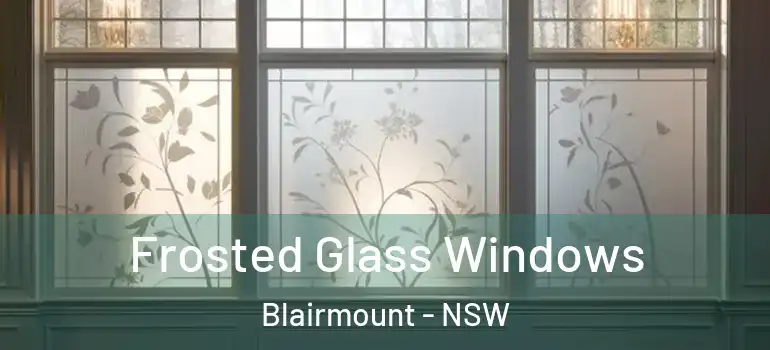  Frosted Glass Windows Blairmount - NSW