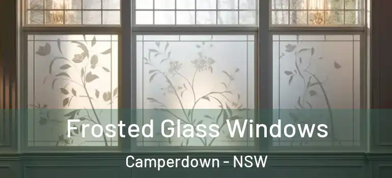 Frosted Glass Windows Camperdown - NSW