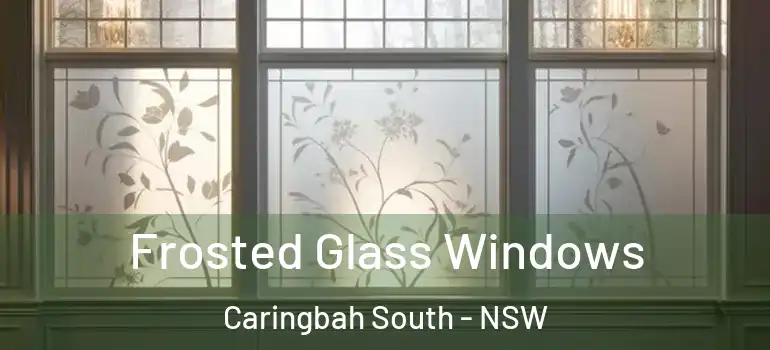  Frosted Glass Windows Caringbah South - NSW