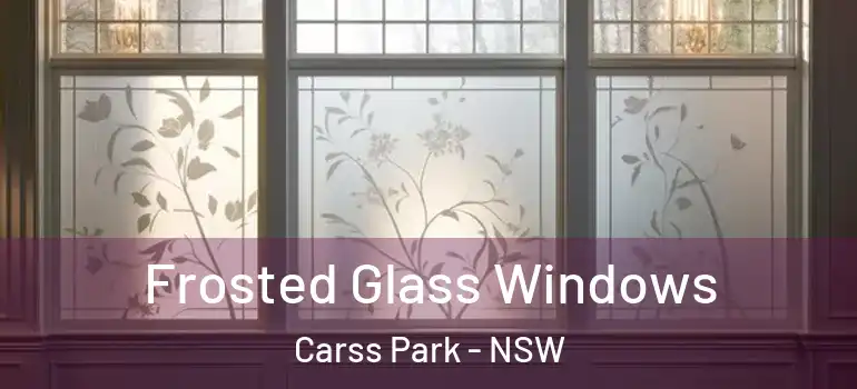 Frosted Glass Windows Carss Park - NSW
