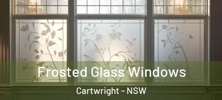 Frosted Glass Windows Cartwright - NSW