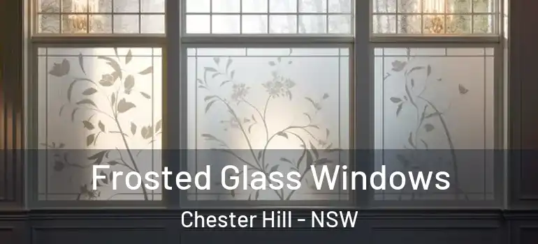 Frosted Glass Windows Chester Hill - NSW