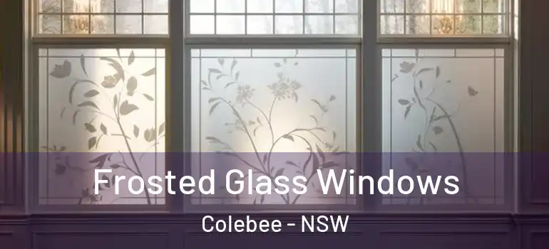 Frosted Glass Windows Colebee - NSW