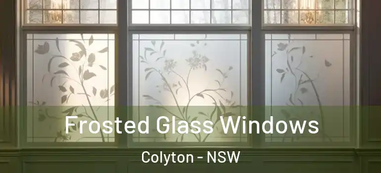 Frosted Glass Windows Colyton - NSW