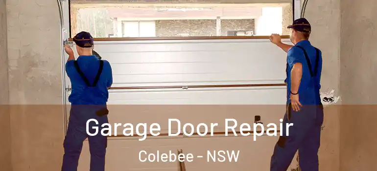 Garage Door Repair Colebee - NSW