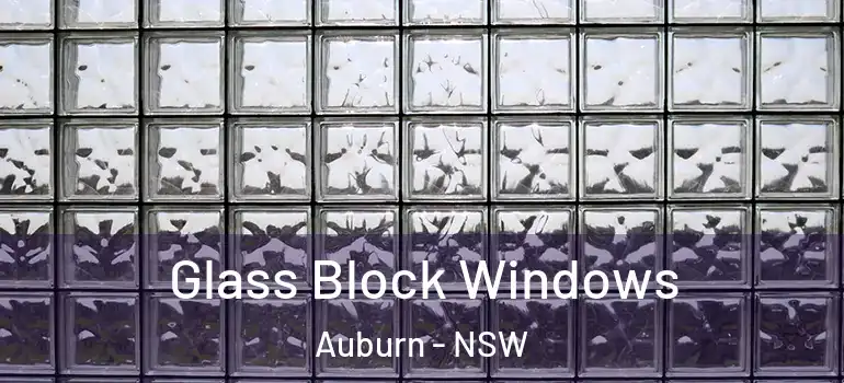  Glass Block Windows Auburn - NSW