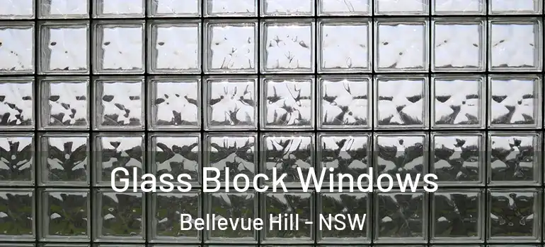 Glass Block Windows Bellevue Hill - NSW