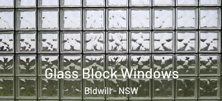 Glass Block Windows Bidwill - NSW