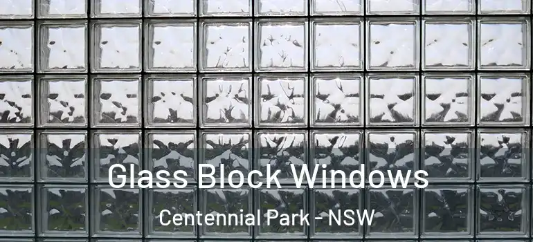 Glass Block Windows Centennial Park - NSW