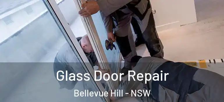 Glass Door Repair Bellevue Hill - NSW