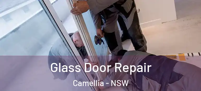  Glass Door Repair Camellia - NSW