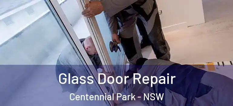Glass Door Repair Centennial Park - NSW