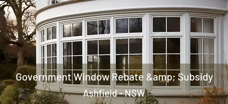  Government Window Rebate & Subsidy Ashfield - NSW