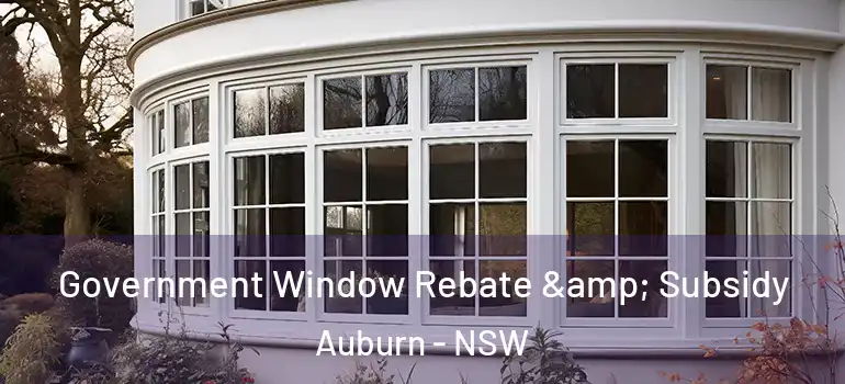  Government Window Rebate & Subsidy Auburn - NSW