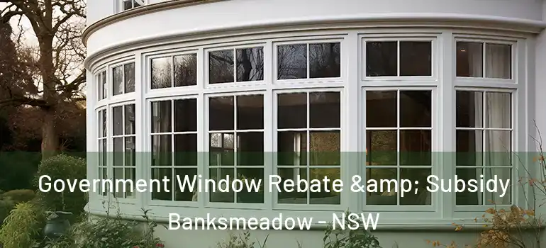 Government Window Rebate & Subsidy Banksmeadow - NSW
