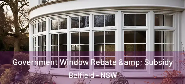  Government Window Rebate & Subsidy Belfield - NSW