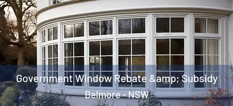 Government Window Rebate & Subsidy Belmore - NSW