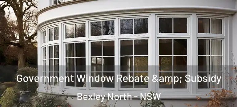  Government Window Rebate & Subsidy Bexley North - NSW