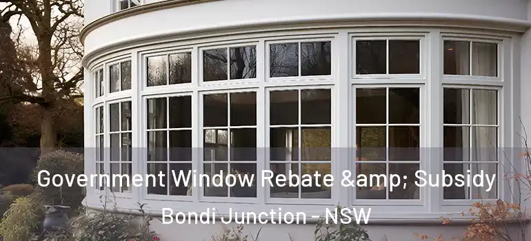  Government Window Rebate & Subsidy Bondi Junction - NSW