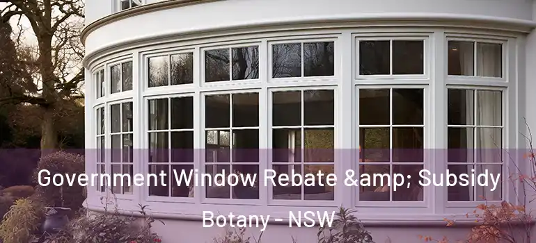 Government Window Rebate & Subsidy Botany - NSW
