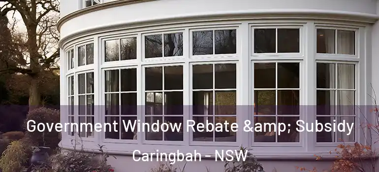 Government Window Rebate & Subsidy Caringbah - NSW