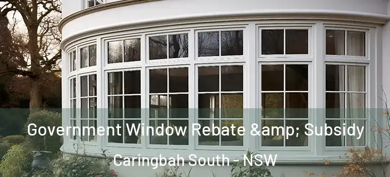Government Window Rebate & Subsidy Caringbah South - NSW