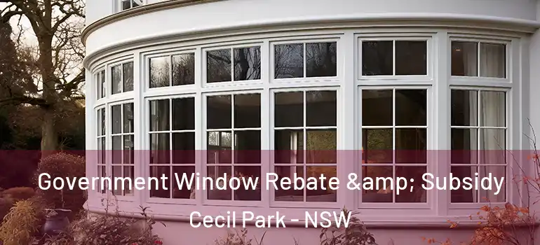 Government Window Rebate & Subsidy Cecil Park - NSW