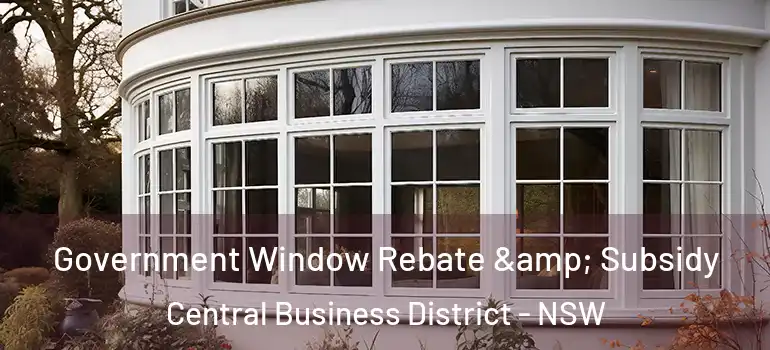  Government Window Rebate & Subsidy Central Business District - NSW