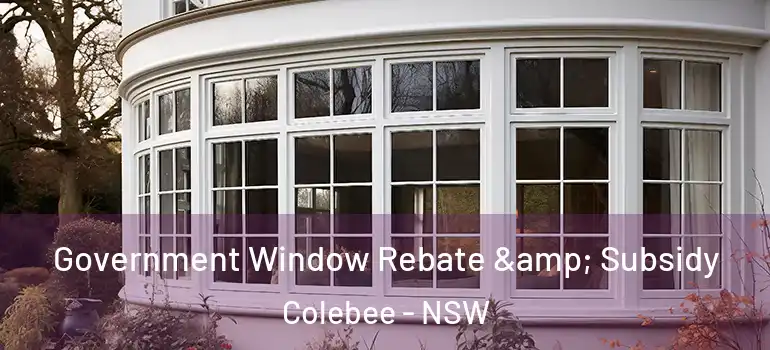 Government Window Rebate & Subsidy Colebee - NSW