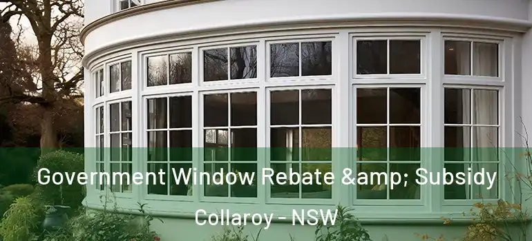 Government Window Rebate & Subsidy Collaroy - NSW