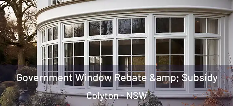Government Window Rebate & Subsidy Colyton - NSW